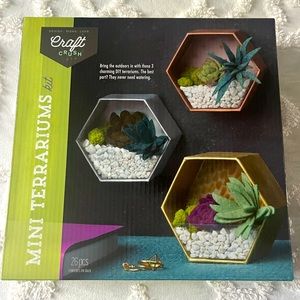 DIY Mini terrarium plant making kit.